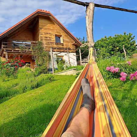 Holiday Home Trnavsko Bogojina المظهر الخارجي الصورة