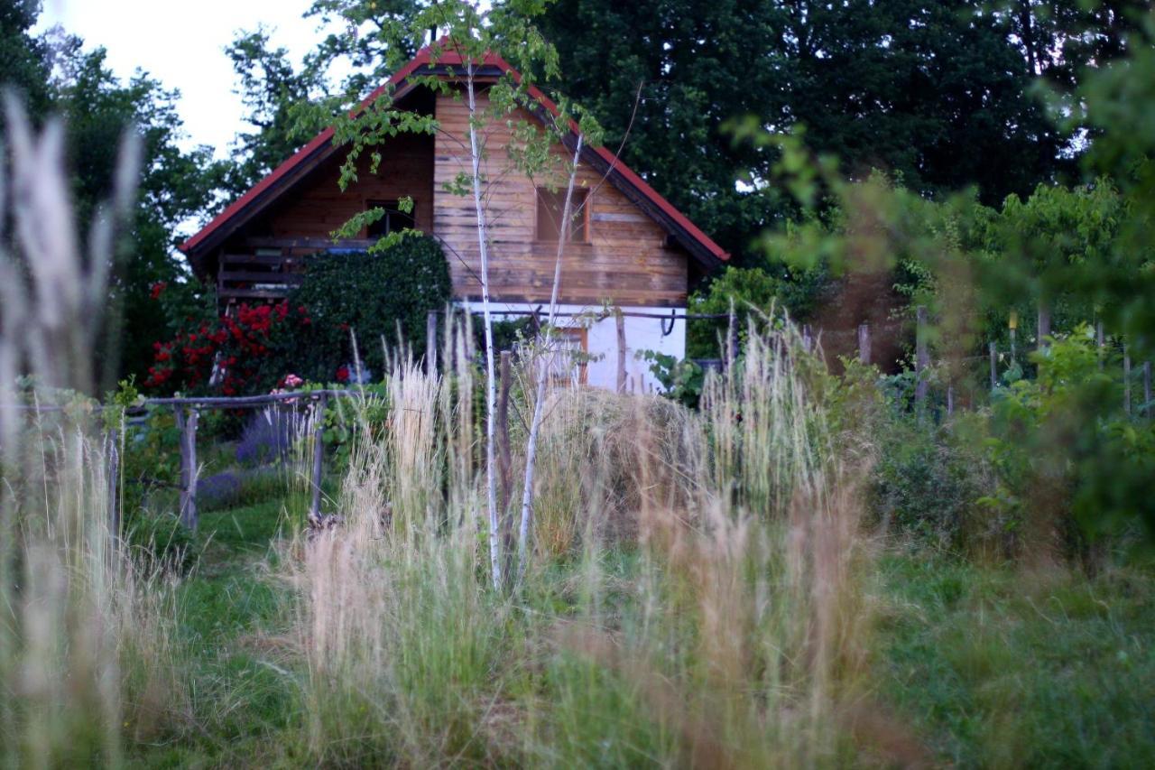 Holiday Home Trnavsko Bogojina المظهر الخارجي الصورة